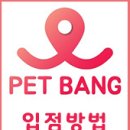 러블리독 애견카페 이미지