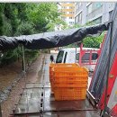 조은익스프레스 | 분들께 조용히 추천드리고 싶은 정원.조은익스프레스 후기, 꼼꼼하고 친절한 포장이사 경험, 모든 짐...