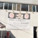 금돼지 이미지