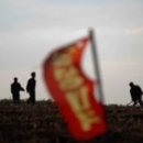 박상윤농장 이미지