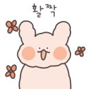 해둥실 이미지