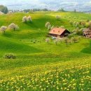 전원풍경 이미지