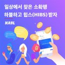 주식회사 하이블럭스