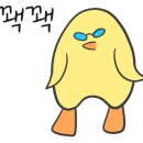 수영114 이미지
