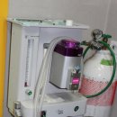 용인센트럴동물병원 이미지