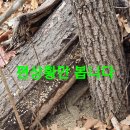 예전