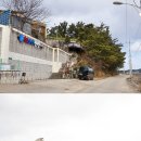 대남경로당 | [안산 대부해솔길 4코스] 쪽박섬에서 베르아델승마클럽까지 걷는 코스