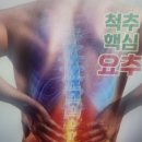 공도한의원 | 박정오몸교정 안성 공도 목, 어깨, 허리, 골반통증 4회차 교정관리 후기