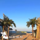 양양 캠프 발리별 | 강원도 양양 서퍼비치 겨울 여행 서피비치 위치 가는법