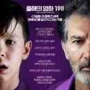 피노미나 이미지