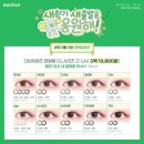 영도 콘텍트 렌즈 이미지