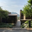 포레스트리솜 이미지