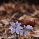 사기막골(2) 이미지