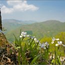 노랑노랑 이미지