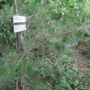 삼밭골목장 이미지