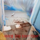 와구제