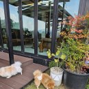 스테이포브 | 조용하고 프라이빗한 애견동반 숙소 찾는다면? 장성 스테이포브