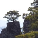 청량산의 봄 이미지