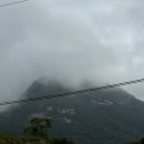 산속애견 | 해남 애견동반 숙소 조용한 산속 한옥컨셉 농부삼촌 한옥민박 후기