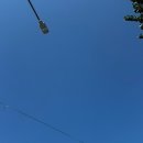 덤핑싸 | 8월 덤핑 일기