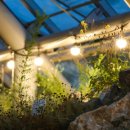 국립백두대간수목원 고산습원 존치가옥 | 국립백두대간수목원 별빛축제 꽃별산책 및 주변 볼거리 먹거리 가이드