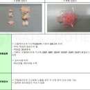 주식회사 더그로우