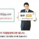 제주365