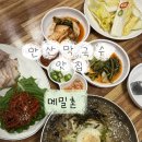 금강막국수웰빙식당 | 안산 맛집 브레이크타임 없음! 옹심이 메밀막국수 수육 다 맛있는 [메밀촌]