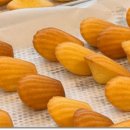 제과제빵기능사(오전) 이미지