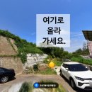 나동경로당 네이버블로그
