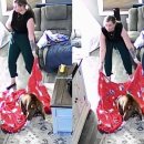 그래도 사랑해 이미지