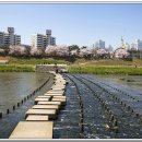 강호자원(주) 네이버블로그