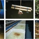 크라운농장 이미지