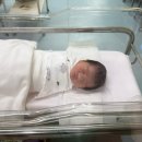 새로봄약국 | [포항] 38주차 3일, 여성 아이병원 제왕절개 수술 후 입원 후기