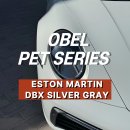 마이스토 | 랩핑 포르쉐 랩핑 오벨(OBEL) ESTON MARTIN DBX SILVER GRAY 에스톤 마틴 DBX 실버 그레이 전체랩핑 후기