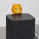 오늘;당근