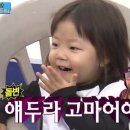 개구리찬방 이미지