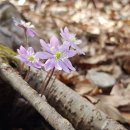 운제농장 이미지