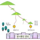 김무성 국회의원 선영 이미지