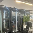 메이트 피티 | 오목교피티 머슬메이트짐