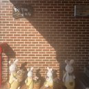 꽃재 | 대구아로마특강|경산꽃재유치원|교사힐링연수 |감정오일향수