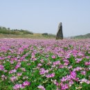 진주 대천리 입석 이미지