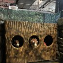 공룡목장 이미지