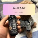 강아지치약 찾는다면? 무지<b>조타</b> 냄새쓱싹 no5 직접 써본 솔직 후기