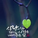 오늘도건강