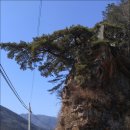 주문1리 이미지