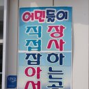 짱활어 이미지