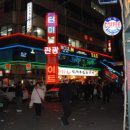 터미널관광나이트 이미지