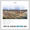 안양새물공원 축구장 네이버블로그