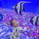 자이언트목장 | 대구 수성구 대형키즈카페 플레이월드 가격 주차 할인 꿀팁 주말 방문 후기